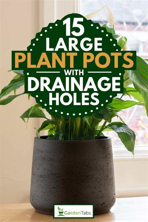 hole planter|inexpensive planters with drainage holes.